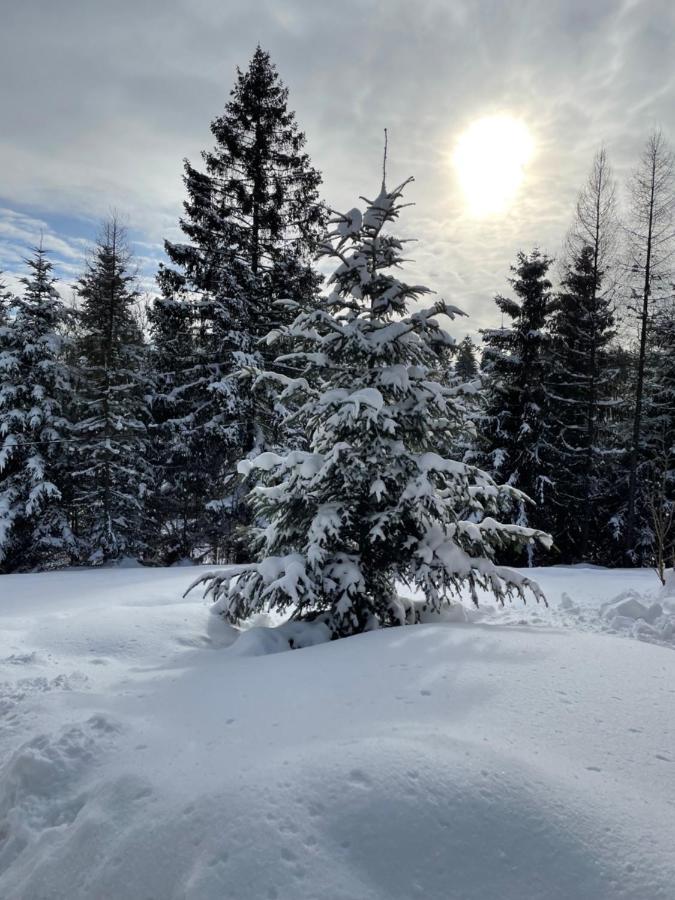 Chata Vevericka Oravska Lesna Luaran gambar