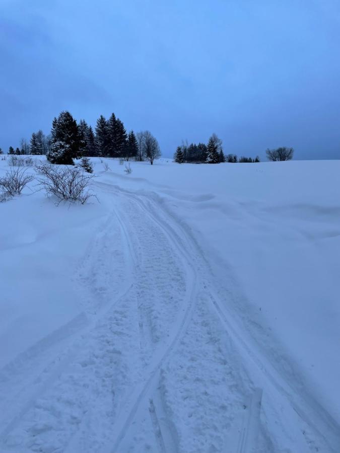 Chata Vevericka Oravska Lesna Luaran gambar